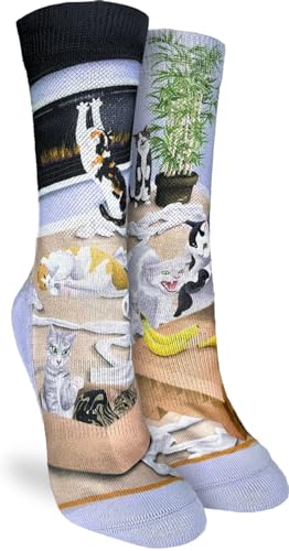 Cats Causing Catastrophe