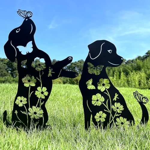 Black Dog