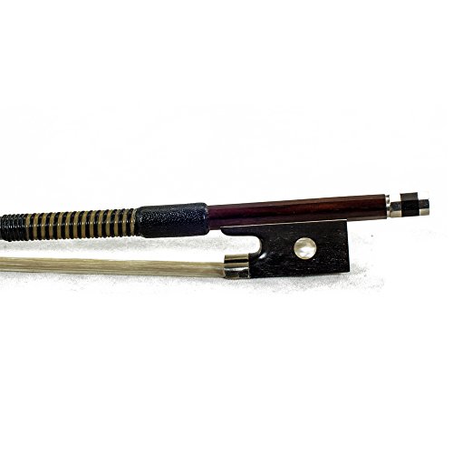 Pernambuco with Double Pearl Eye
