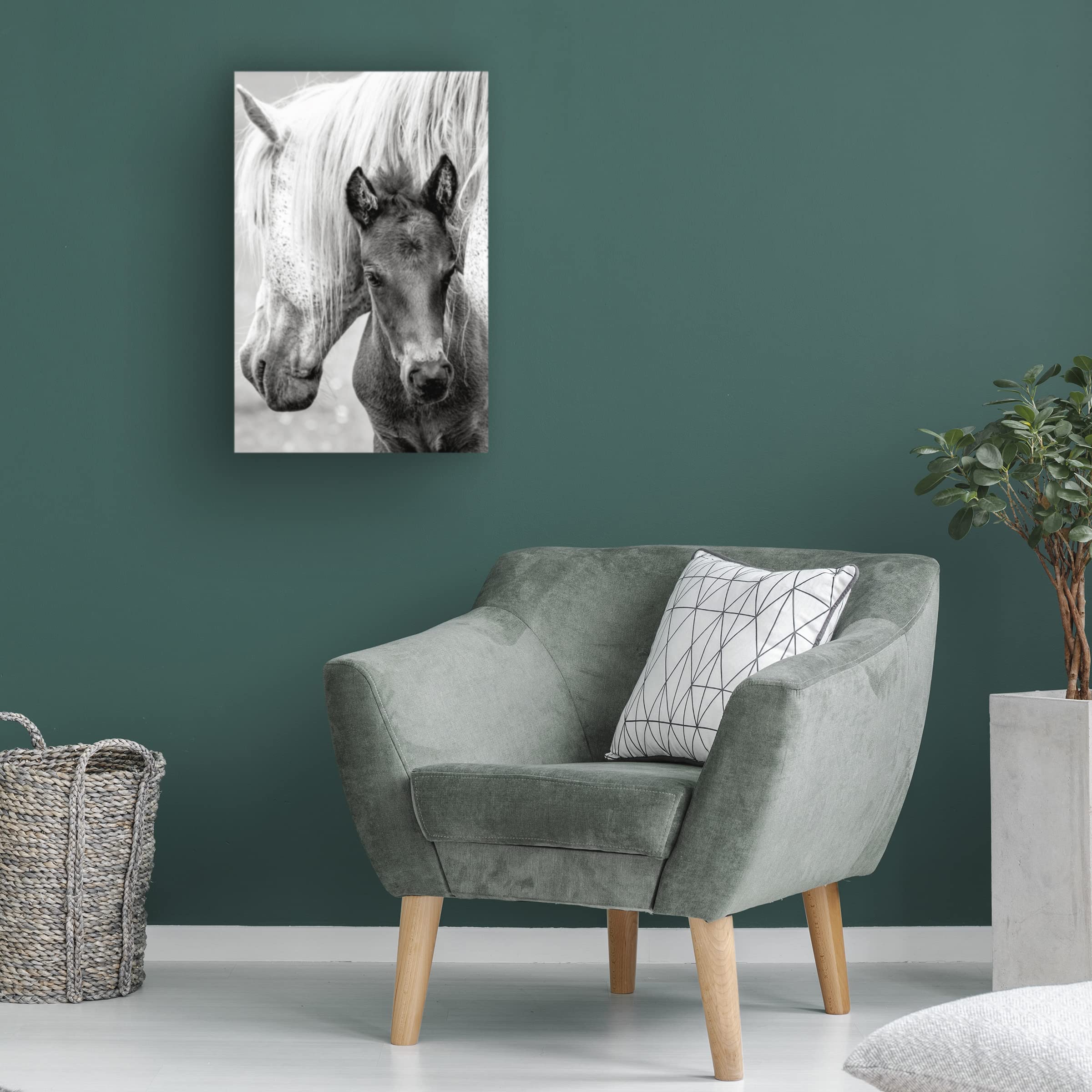 Jacky Parker 'The Foal' Canvas Wall Art Print - Premium Horse Painting for Home & Office Decor - Perfect for Living Room, Bedroom, Nursery & Gifts