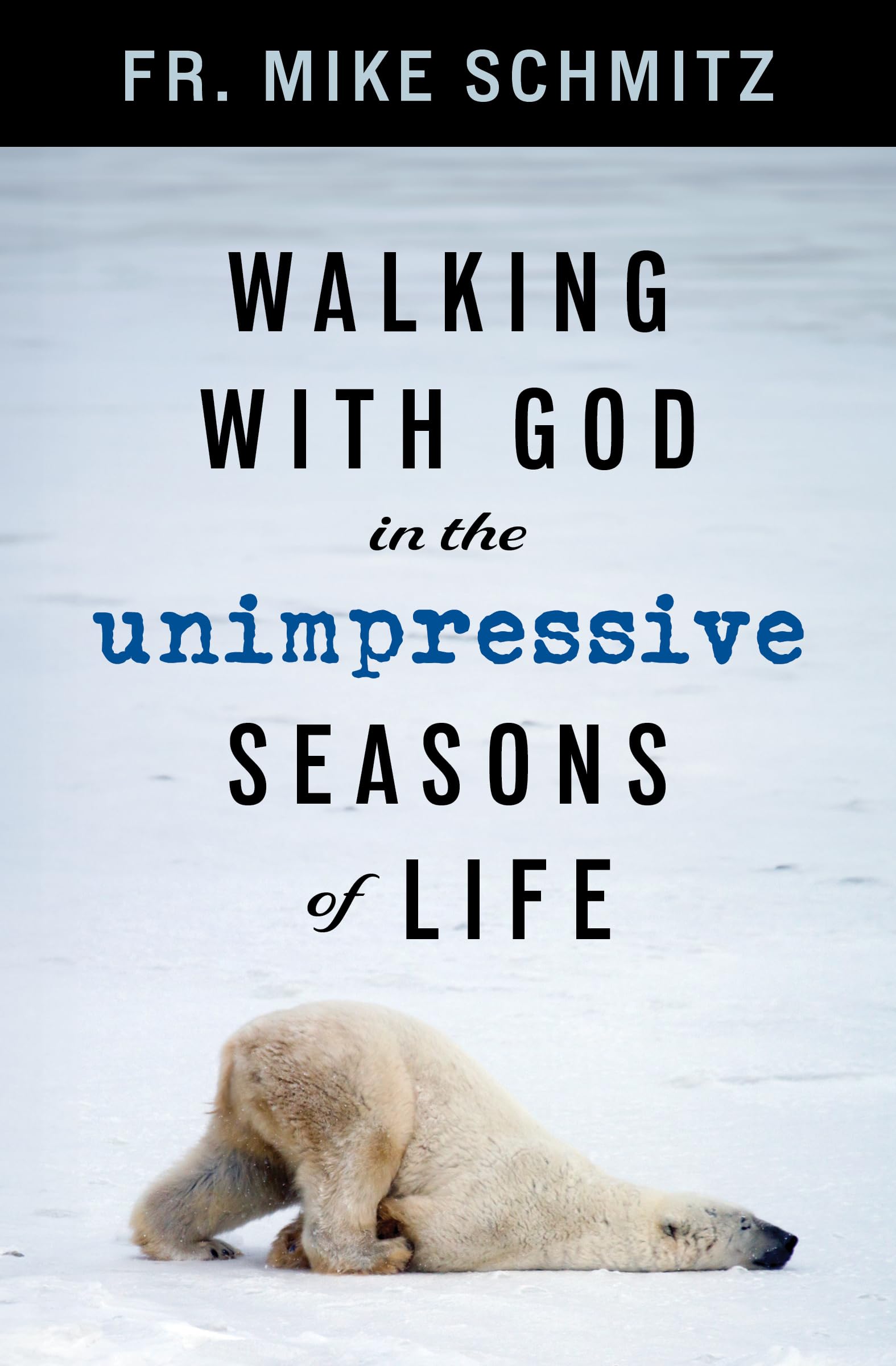 Walking with God in the Unimpressive Seasons of Life - Christian Devotional Book for Spiritual Growth & Daily Encouragement - Perfect for Bible Study, Small Groups & Personal Reflection