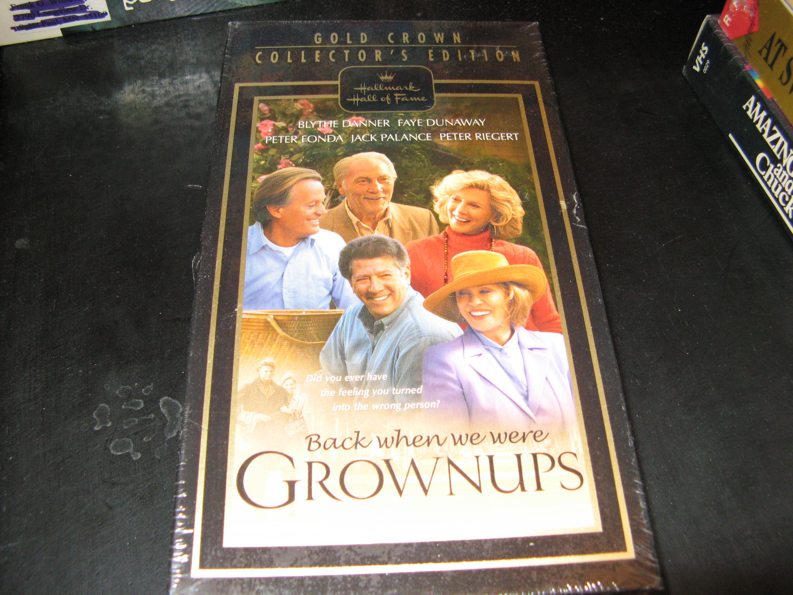 Back When We Were Grownups Novel - Heartwarming Family Drama Book for Adults | Perfect for Book Clubs, Gifts & Relaxing Reading