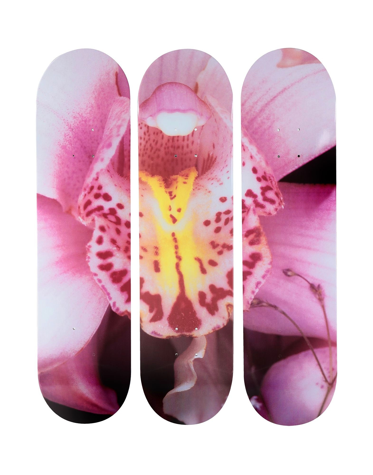NOBUYOSHI ARAKI ORCHID - Premium Japanese Photography Art Book - Perfect for Photography Lovers & Art Collectors - Home Decor & Gift Idea