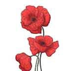 Flower 16