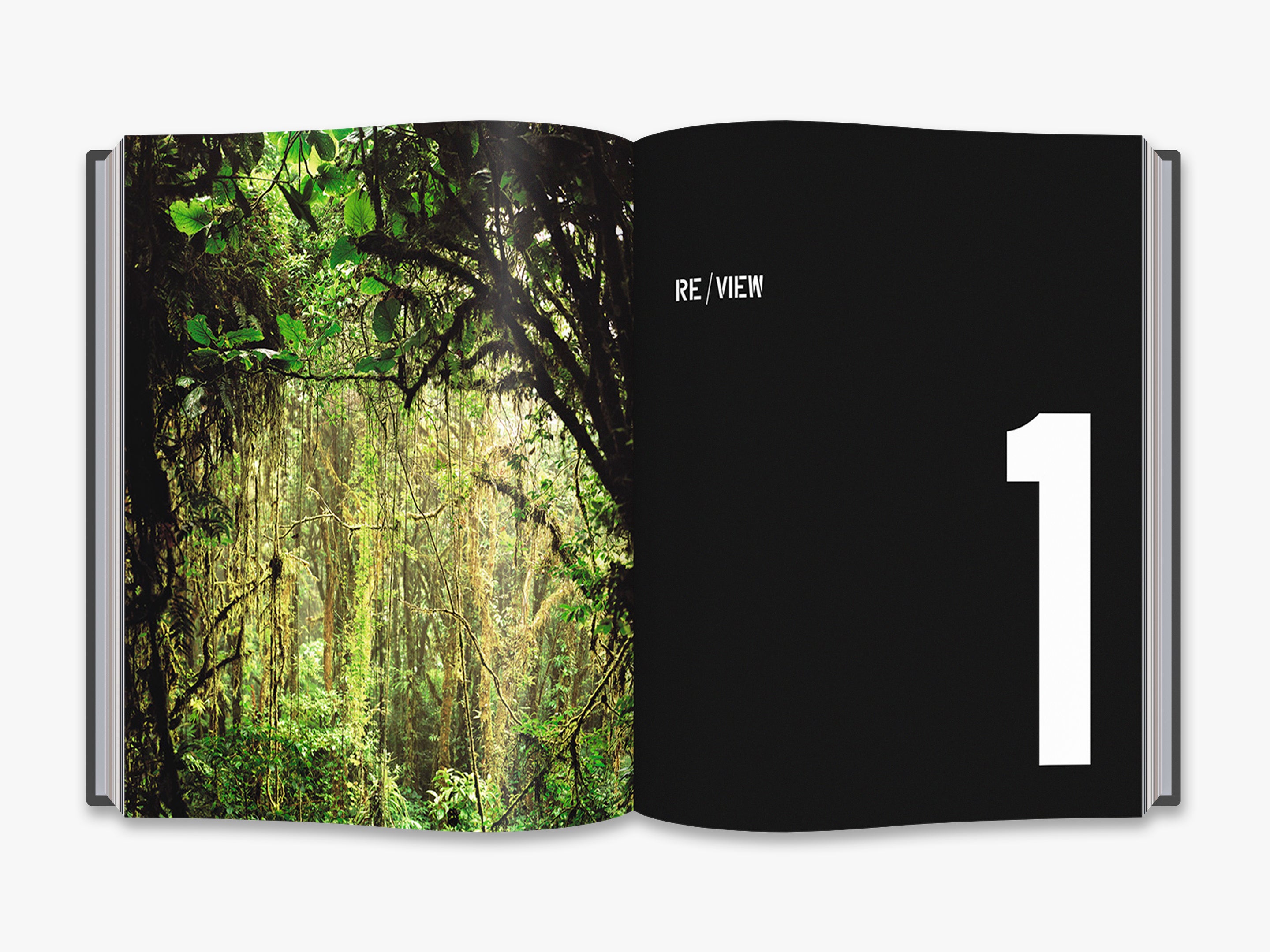Art & Ecology Now - Contemporary Eco-Friendly Art Supplies & Sustainable Creative Tools for Artists, Students & DIY Projects | Perfect for Home Decor, Studio Work & Environmental Awareness