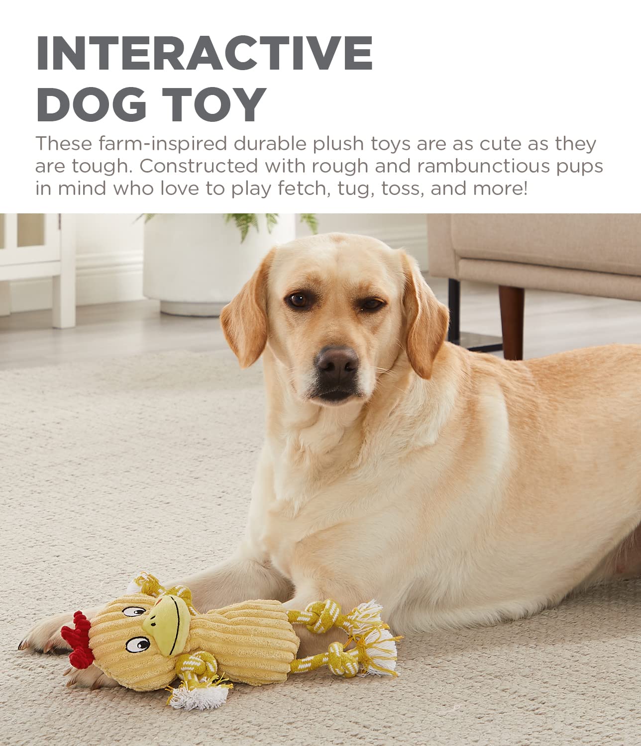 Charming Pet Ranch Roperz Chicken Plush Squeaky Dog Toy - Soft & Durable Interactive Chew Toy for Small & Medium Dogs - Perfect for Playtime, Training & Cuddling