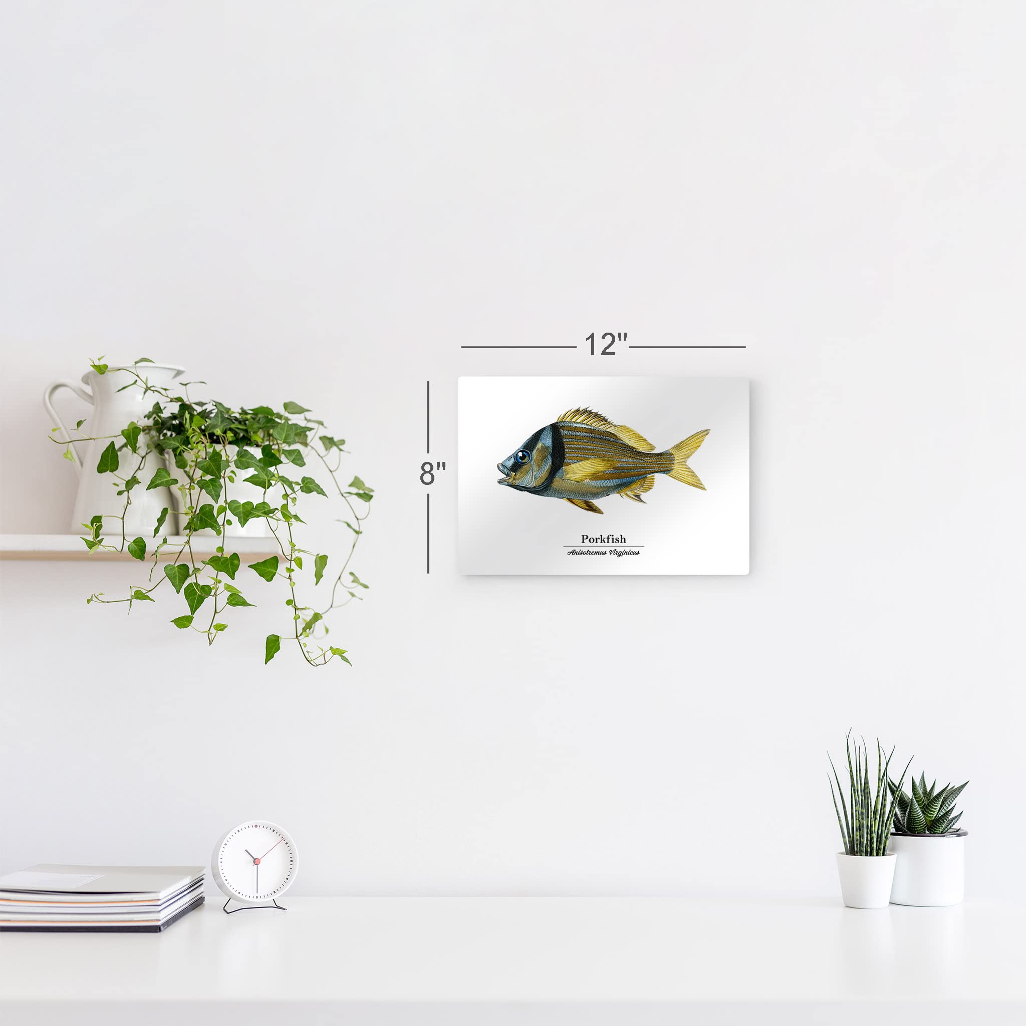 Smile Art Design Porkfish Anisotremus Virginicus Metal Wall Art - 30x40 Inch Ocean Themed Fish Painting for Coastal Decor, Nautical Bedroom, Living Room & Kids Room - Made in USA | Perfect for Beach House, Fishing Lodge & Marine Lover's Home Decor
