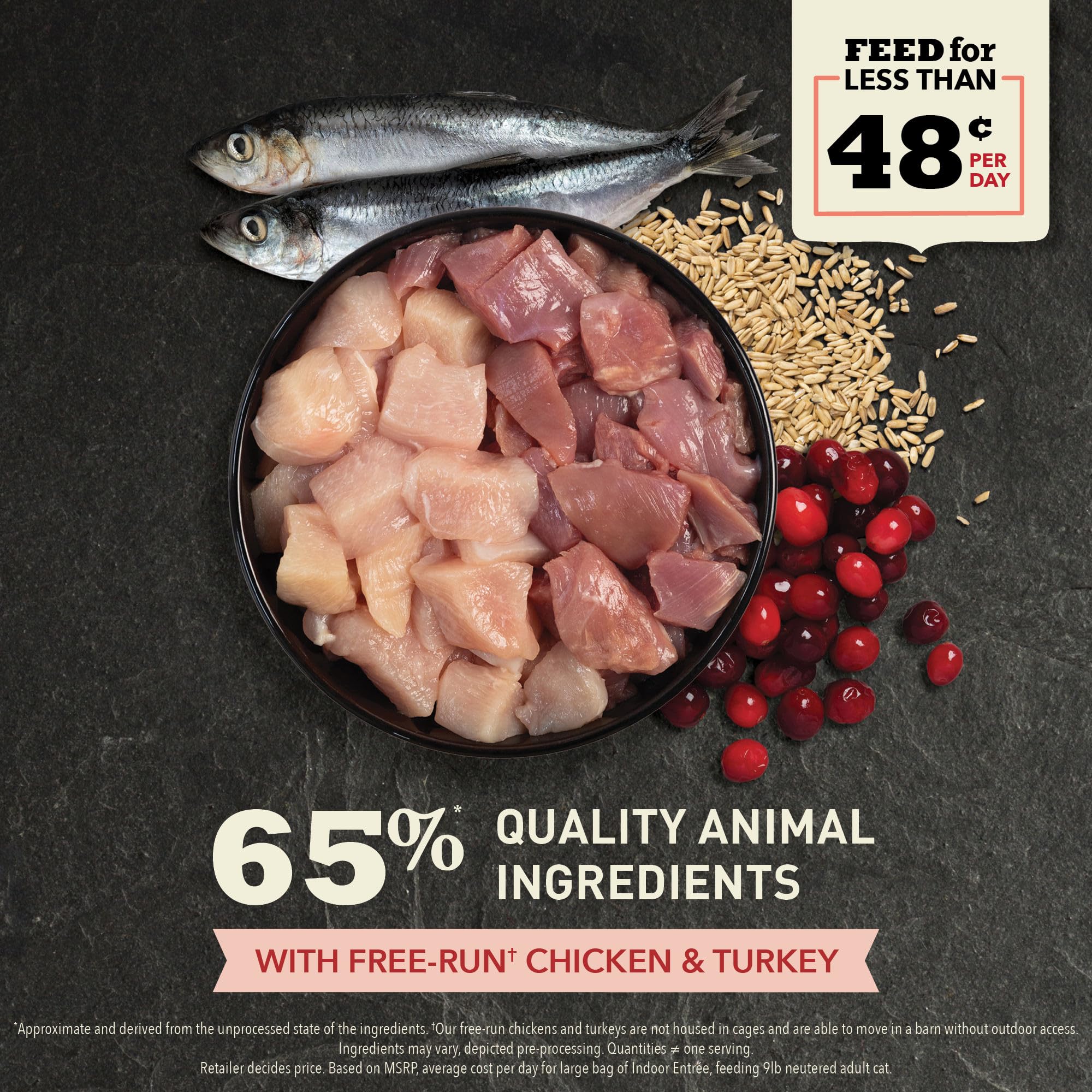 ACANA Indoor Entree Dry Cat Food for Adult Cats - Free Run Chicken & Turkey Recipe, 10 lb Bag - High Protein Grain-Free Kibble for Indoor Cats with Sensitive Stomachs | Perfect for Daily Feeding & Weight Management
