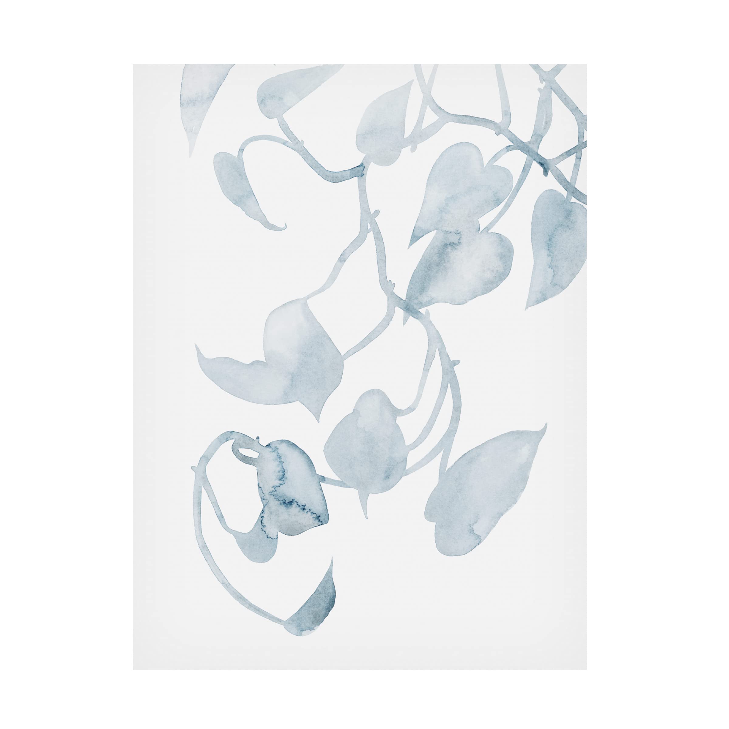 Grace Popp 'Pothos Penumbra II' Canvas Wall Art Print - Modern Botanical Home Decor for Living Room, Bedroom & Office - Trademark Fine Art Collection
