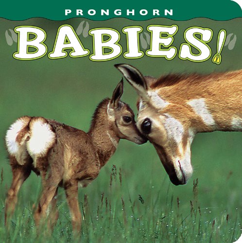 Pronghorn Babies! - Adorable Wildlife Book for Kids - Perfect for Nature Lovers & Classroom Learning