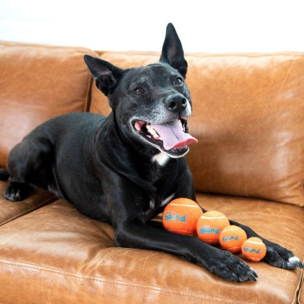 Outward Hound Squeaker Ballz Dog Toy - Durable Chew Toys for Small & Large Dogs - Fun Interactive Play for Indoor & Outdoor Use