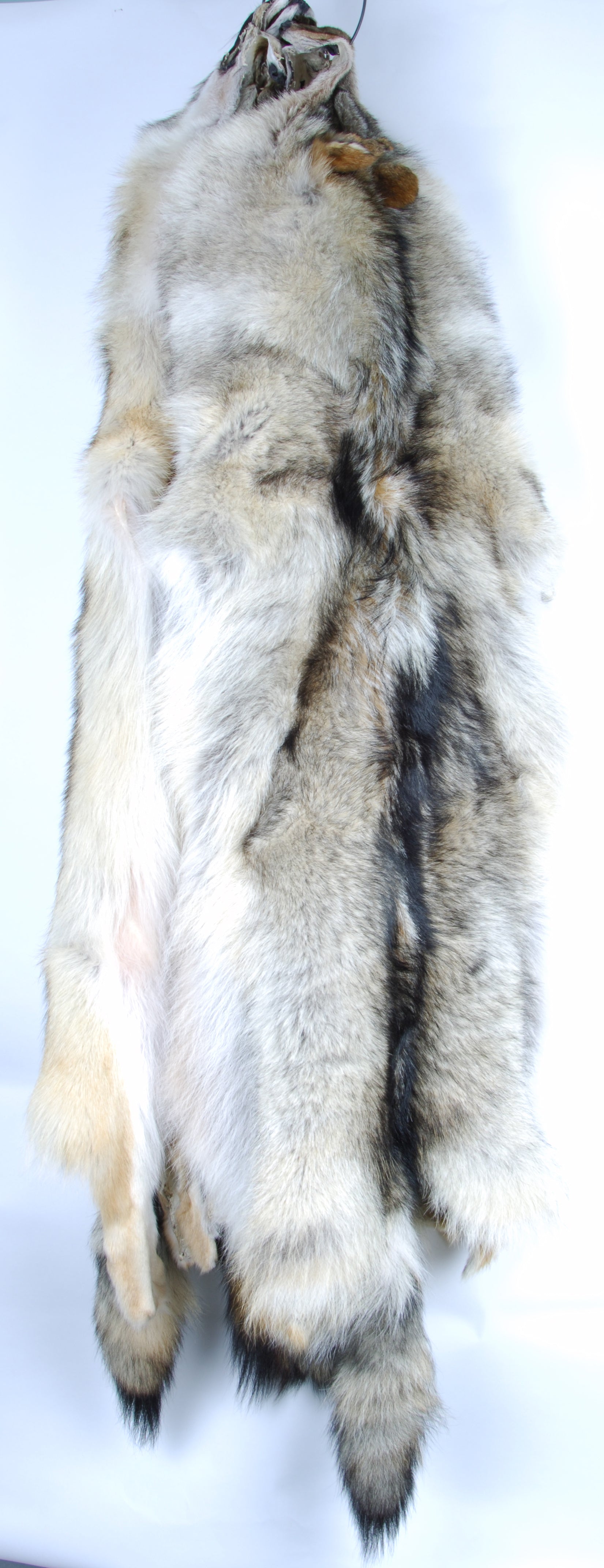 Premium Giant Coyote Fur Skin Rug - 3XL Size, Soft & Luxurious for Home Decor, Cabin, Lodge, or Hunting Cabin - Perfect for Cozy Living Rooms, Rustic Bedrooms, and Wilderness Retreats