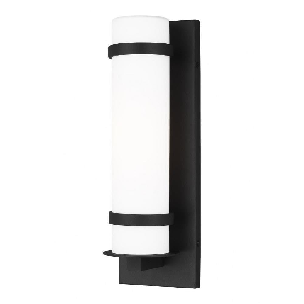 14 Inch 9.3W LED Small Outdoor Wall Lantern - Black Finish - Incandescent Lighting Type - Weatherproof for Porch, Patio, Garden & Entryway Lighting