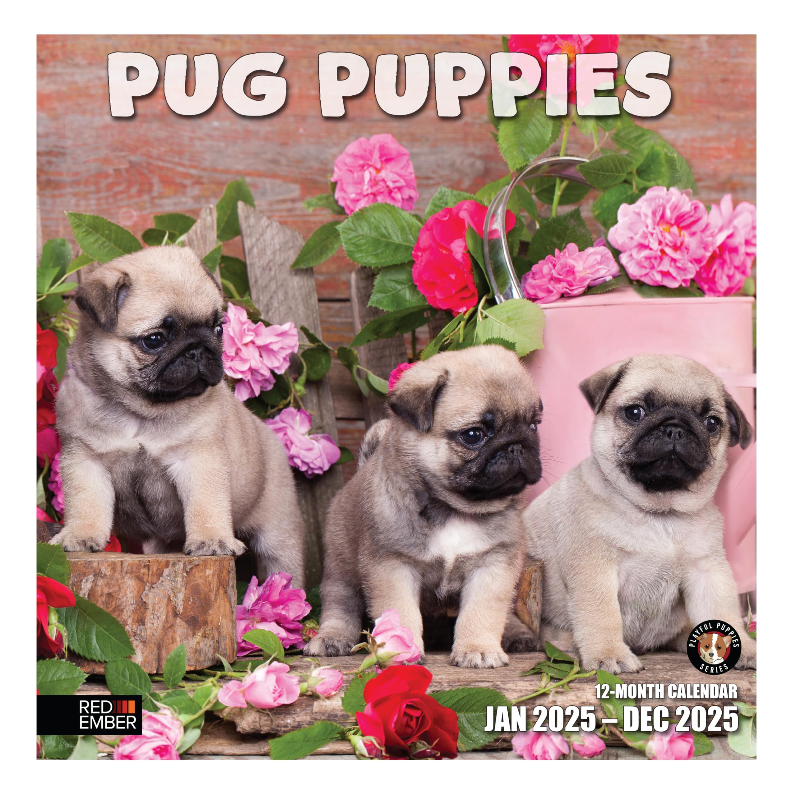 RED EMBER Pug Puppies 2025 Wall Calendar - 12 Month Large 12x24 Inch with Thick Sturdy Paper - Perfect Gift for Dog Lovers - Home, Office & Classroom Decor