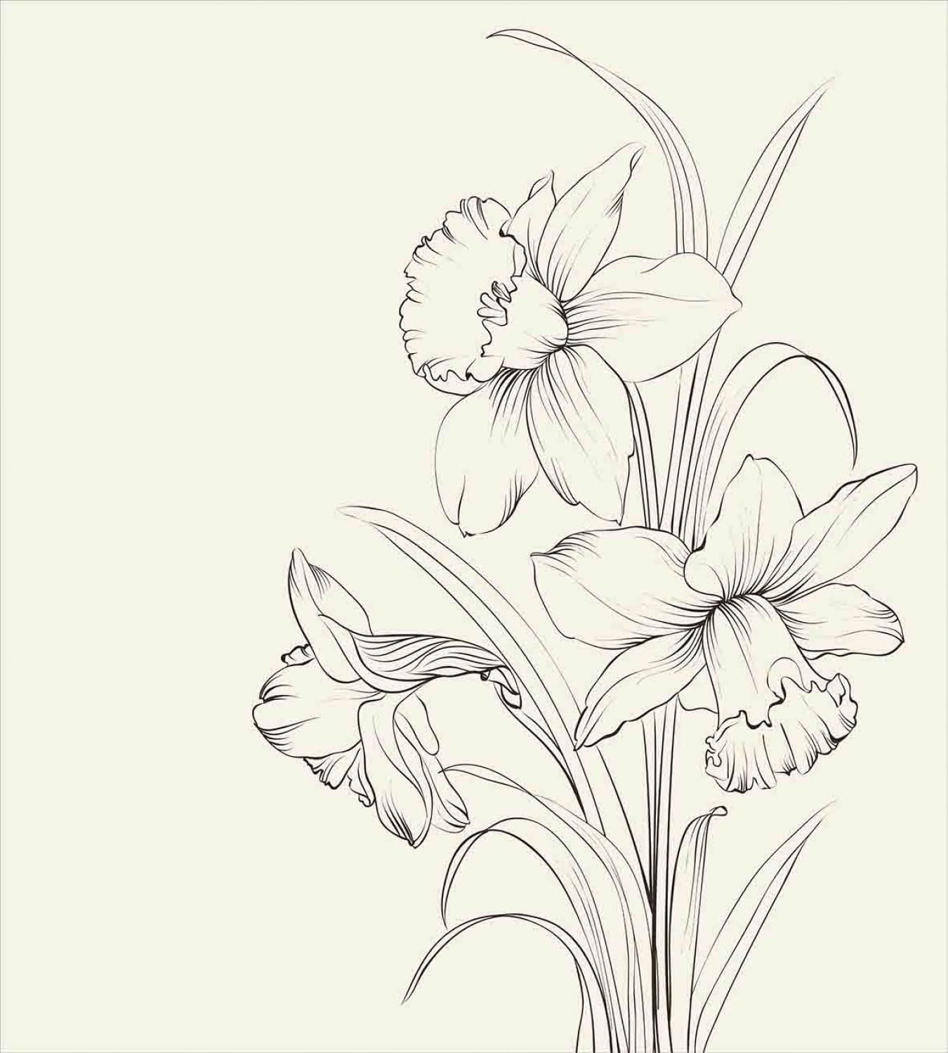 Lunarable Hand-Drawn Sketch Style Blooming Narcissus Duvet Cover Set - 2 Duvet Covers & 4 Pillowcases, Cal King Size (Cream & Black) - Floral Bedding for Master Bedroom, Guest Room & Luxury Hotel Decor