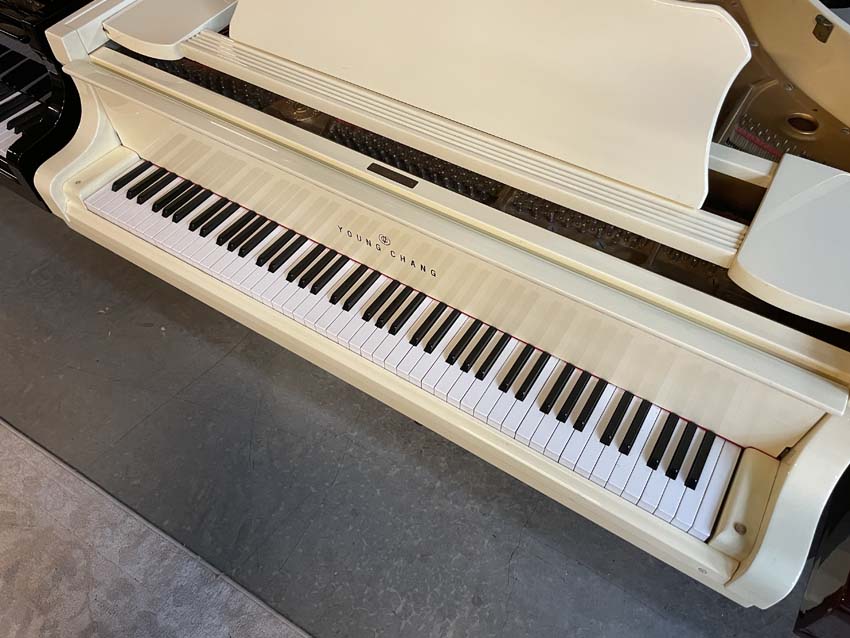 1983 Young Chang G157 5'2