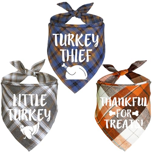 3 Pack Thanksgiving B