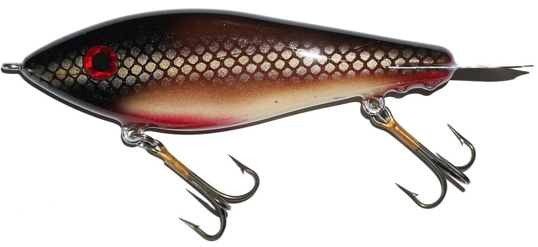 orange perch