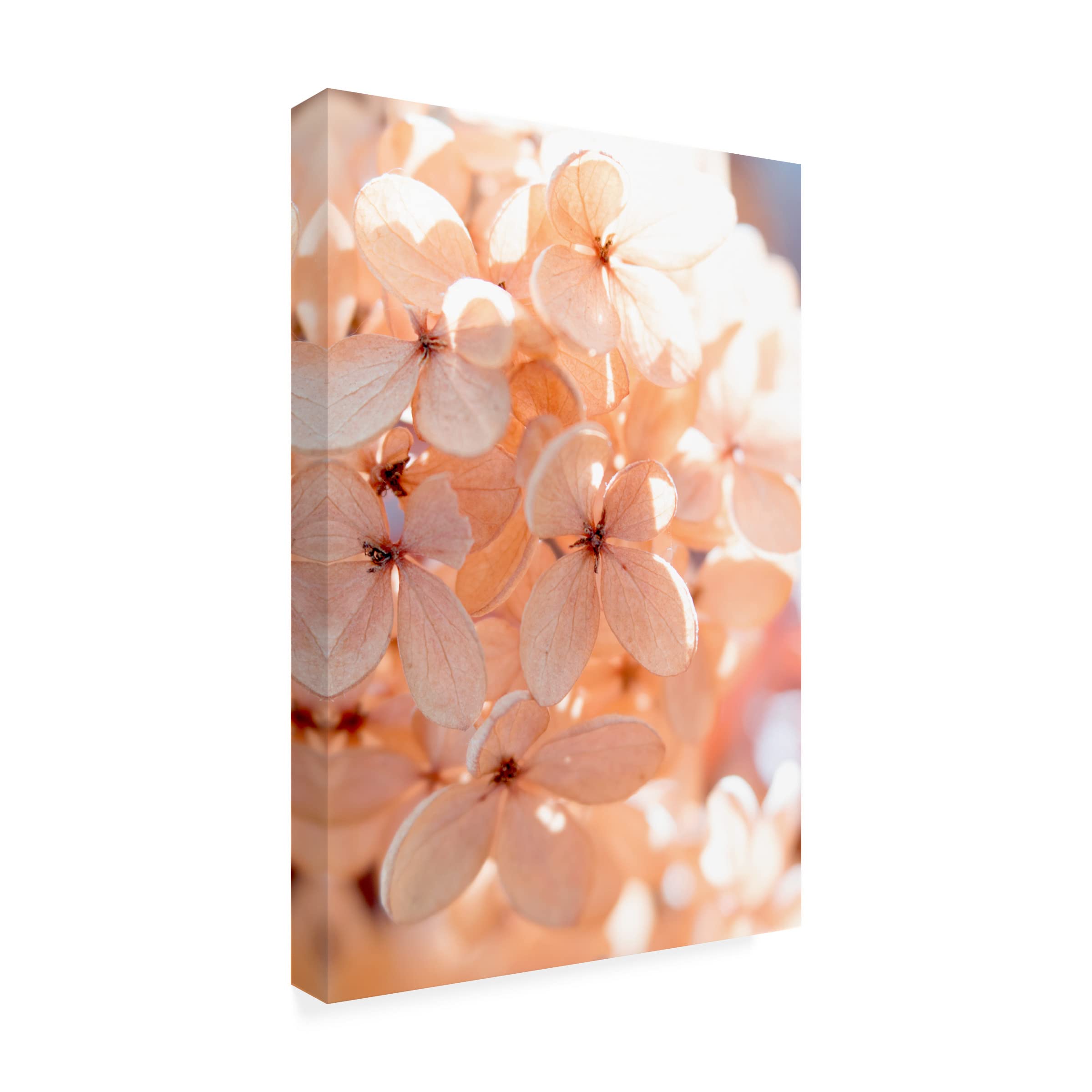 Judy Stalus 'Sunny Morning III' Canvas Wall Art Print - 16x24 Inches, Modern Home Decor for Living Room, Bedroom & Office