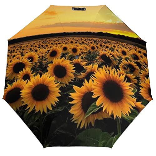 SUNFLOWERS DESIGNS