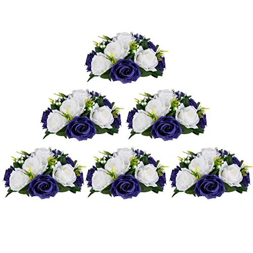 Navy Blue & White