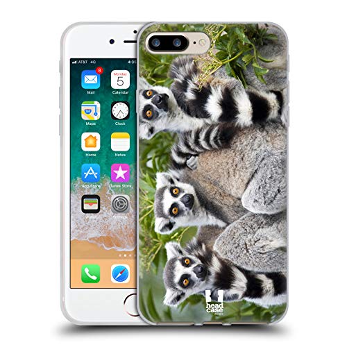 Ring Tailed Lemur