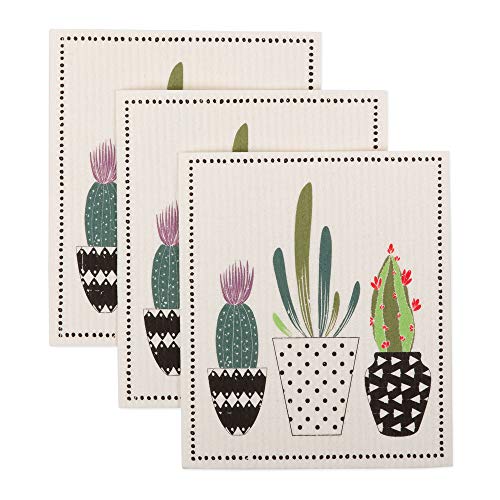 Succulents