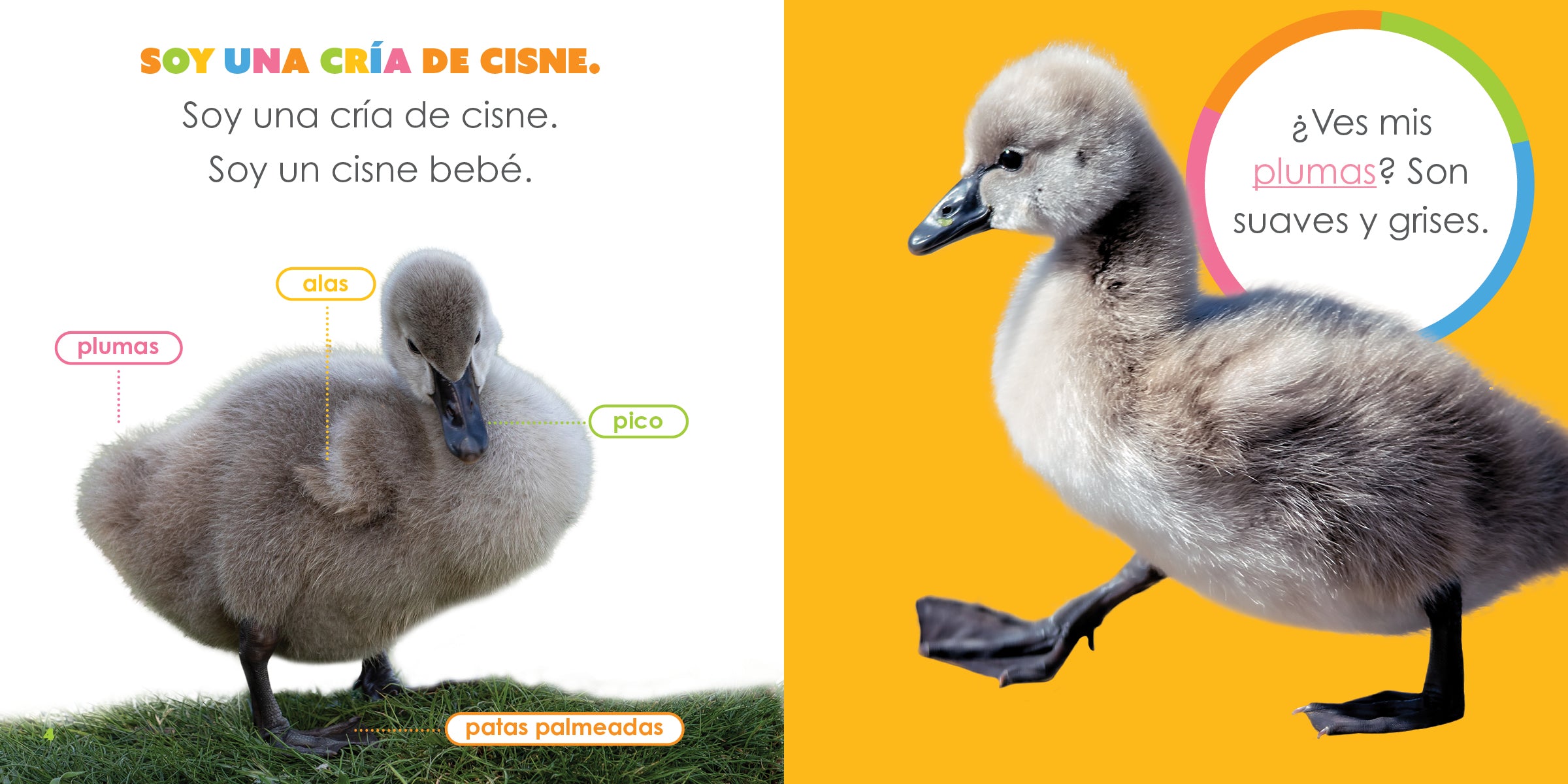 Baby Swans The Beginning - Adorable Baby Swan Decor for Nurseries, Baby Showers & Kids' Rooms