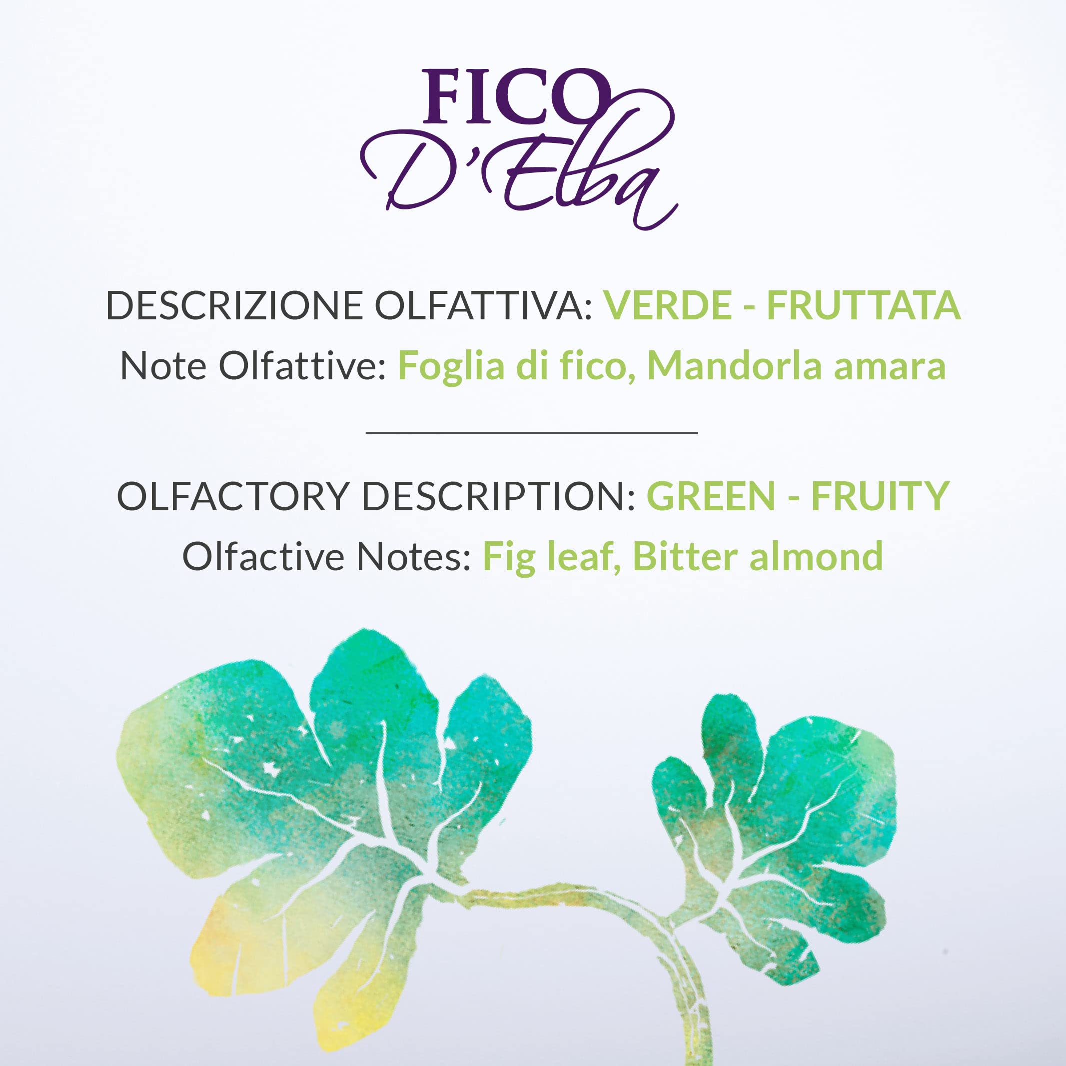 Erbario Toscano Elba's Fig Home Fragrance Diffuser 1L - Long Lasting Aromatherapy for Living Room, Bedroom & Office