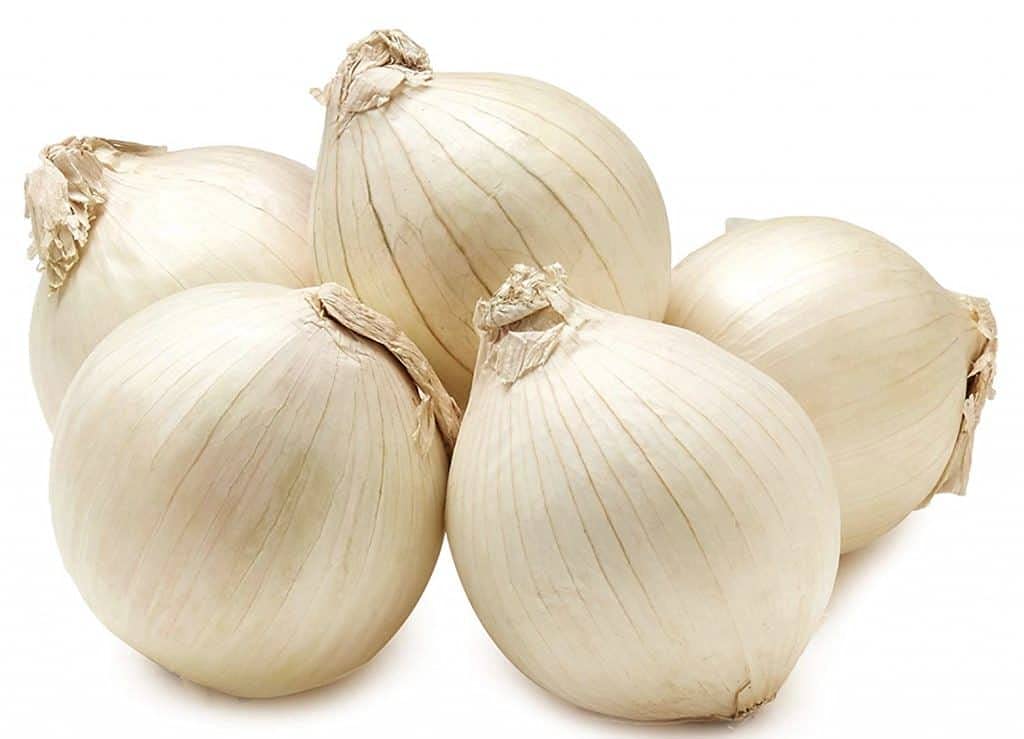Fresh USA Grown Non-GMO White Onions - 1 Pound Bulk Wholesale | Perfect for Cooking, Salads & Healthy Recipes
