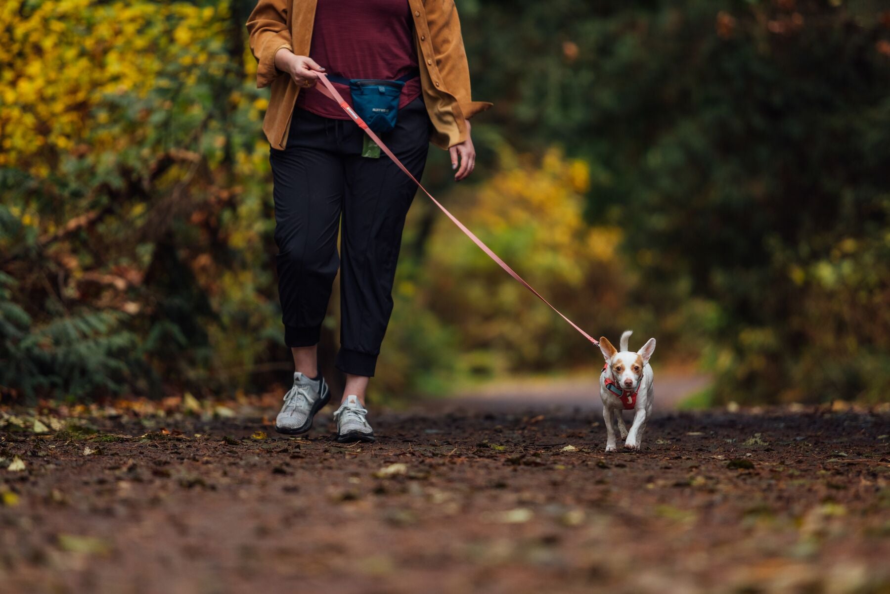 Ruffwear Hi & Light® Ultralight Dog Harness - Blue Dusk | Adjustable & Breathable for Hiking, Running & Outdoor Adventures