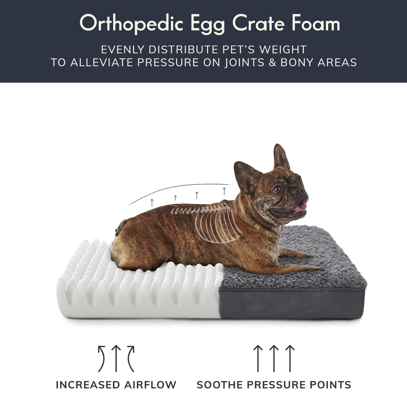 Orthopedic Dog Bed for Medium Dogs - Plush Egg Foam Support, Non-Slip Bottom, Waterproof & Machine Washable Cover - Perfect for Arthritis Relief & Comfortable Sleeping in Kennels or Living Rooms