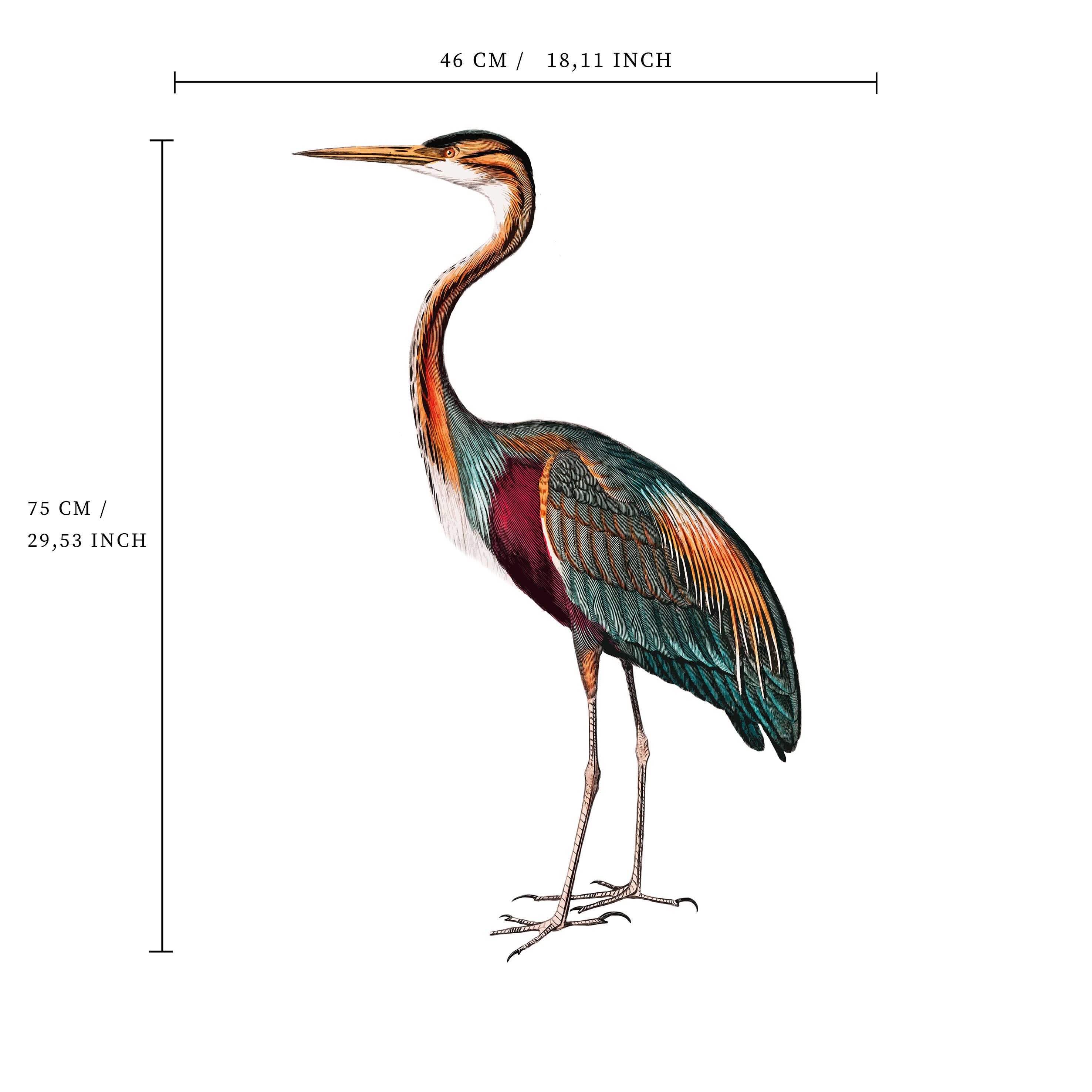Elegant Crane Bird Wall Decal Sticker - Self-Adhesive Home Decor for Living Room, Bedroom, Nursery - Nature Inspired Peel and Stick Wall Art