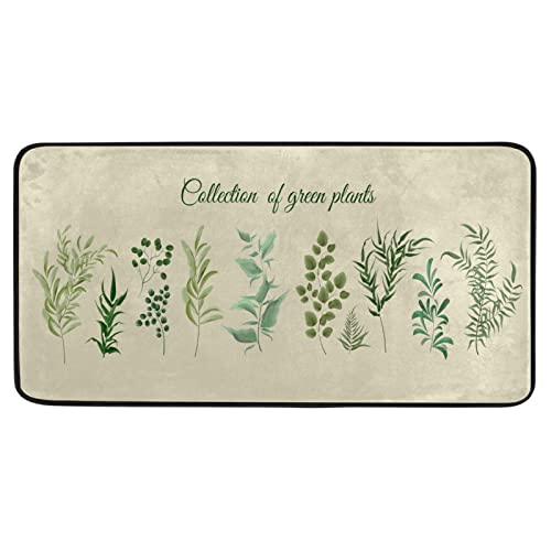 Leaves Herbs