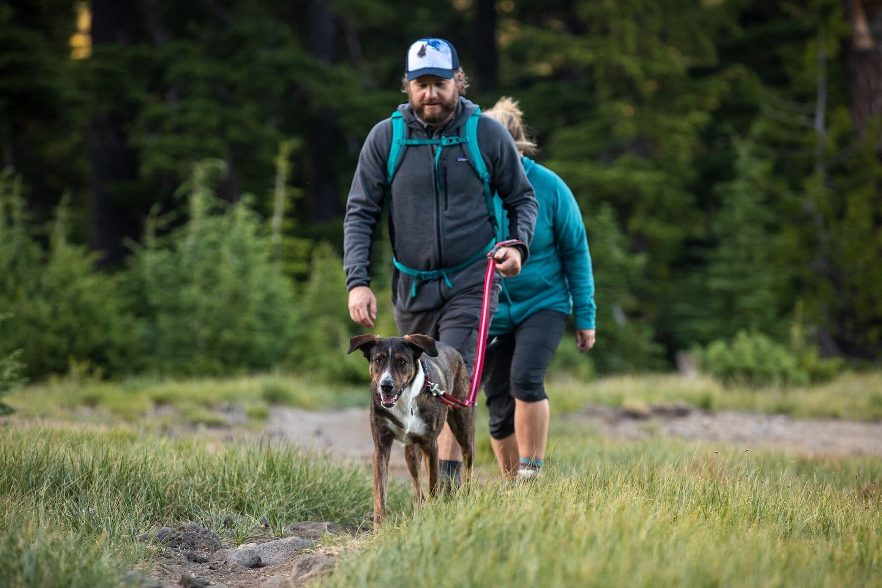 Ruffwear Crag Collar® Reflective Dog Collar - Granite Gray | Durable & Adjustable for Hiking, Running & Outdoor Adventures