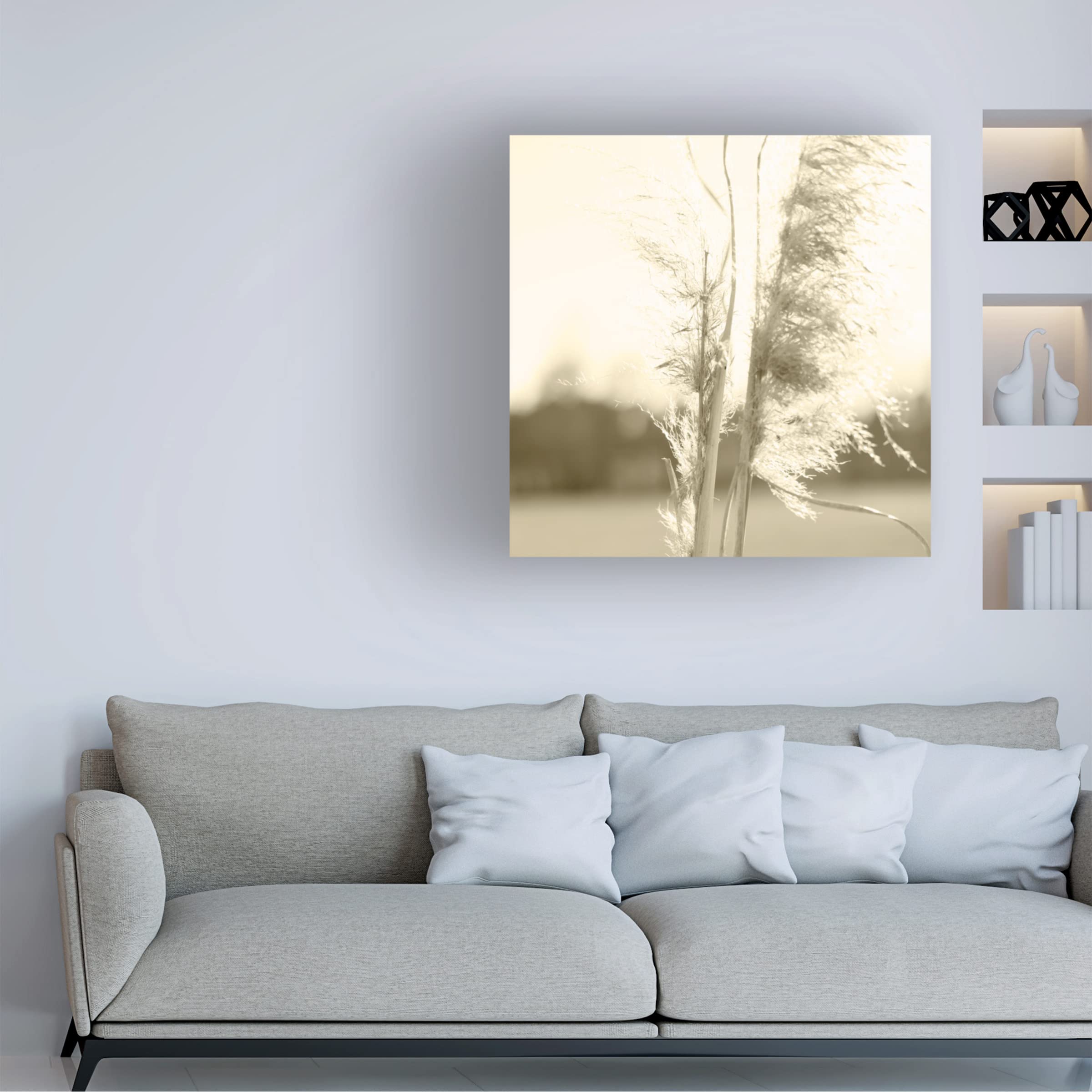Trademark Fine Art 'Ethereal Pampas V' Canvas Wall Art Print by Jason Johnson - Modern Boho Home Decor for Living Room, Bedroom & Office
