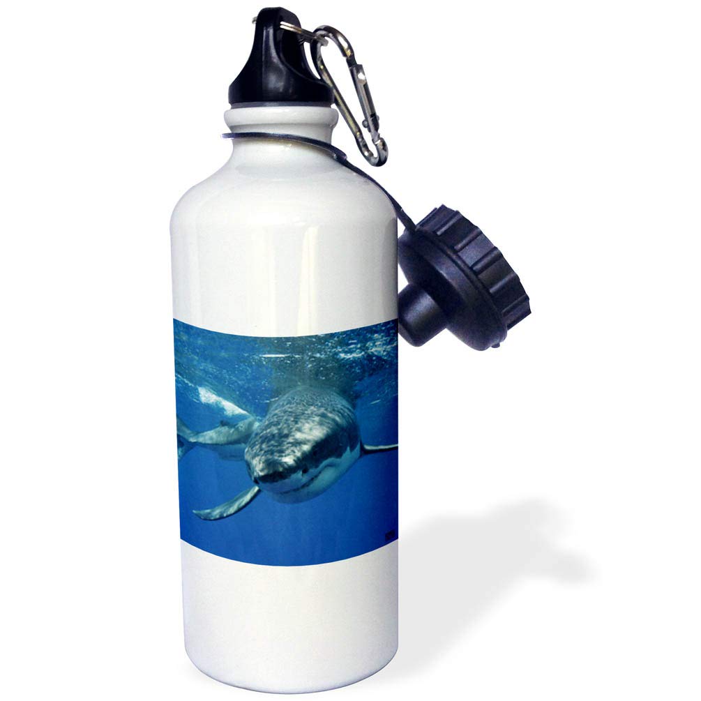 3D Rose Great White Shark Sports Water Bottle - 21 oz Insulated Stainless Steel Water Bottle for Gym, Hiking & Outdoor Activities - BPA Free, Leak Proof, White
