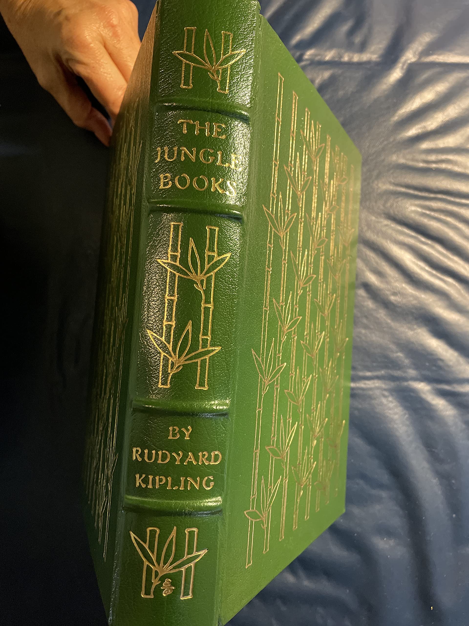 The Jungle Book - Classic Adventure Novel by Rudyard Kipling | Perfect for Kids, Teens & Book Lovers | Great for Bedtime Reading, Gifts & Classroom Learning