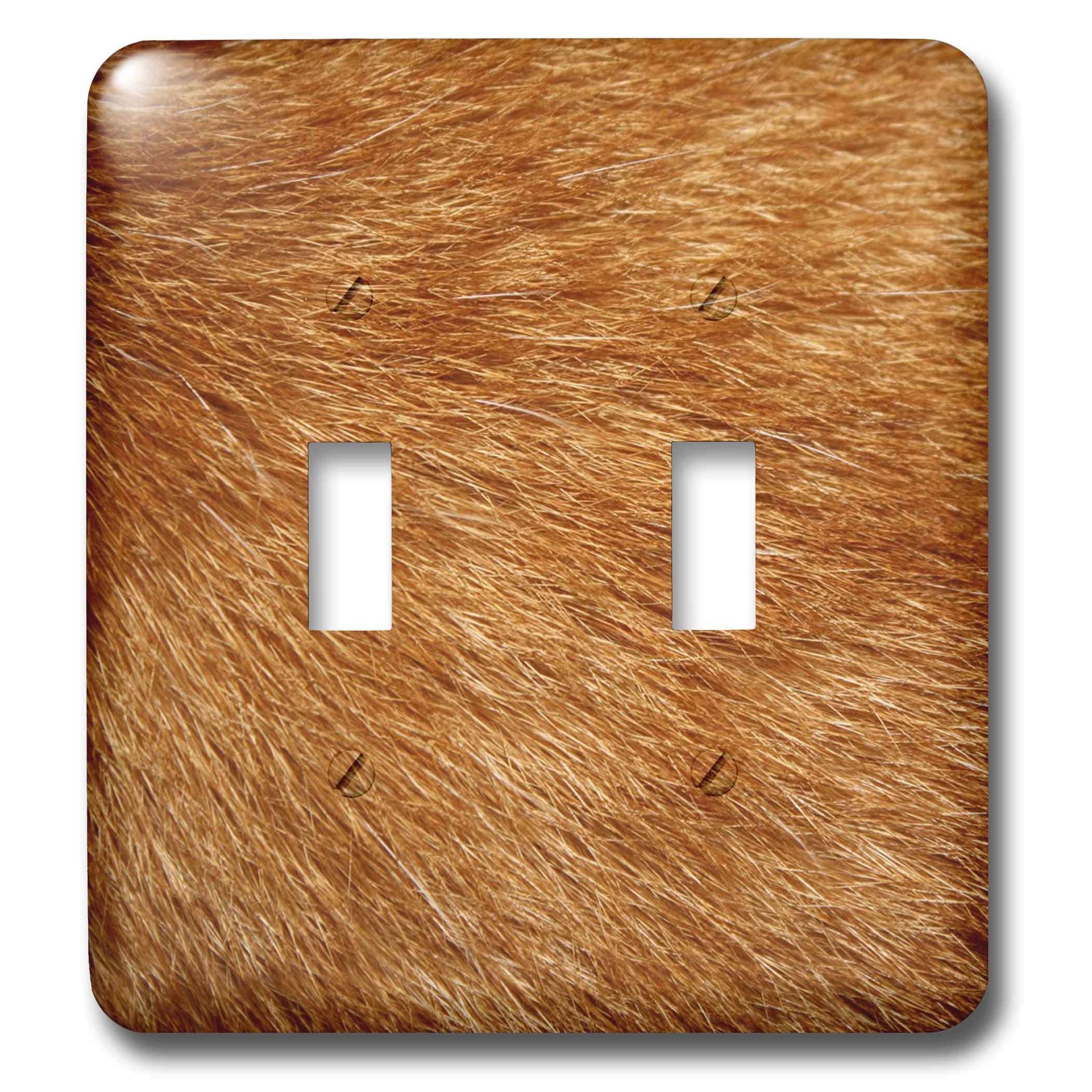 3dRose Orange Tabby Cat Fur Double Toggle Switch - Decorative Wall Plate Cover for Home & Office (lsp_80386_2)