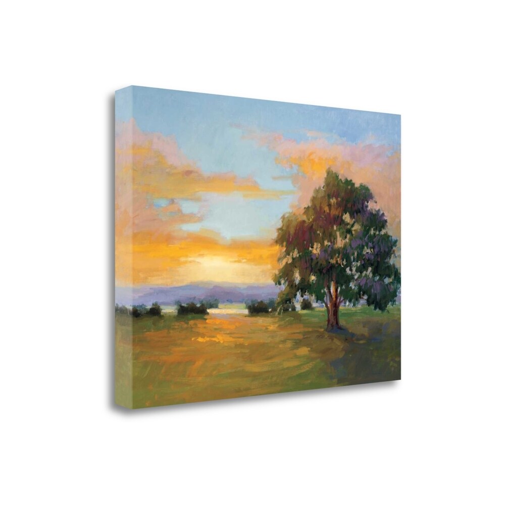 Sunset Salute by Vicki McMurry - Premium Giclee Art Print on Gallery Wrapped Canvas, Framed & Ready to Hang - Perfect for Living Room, Bedroom or Office Wall Decor