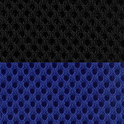 Black/Blue Insert