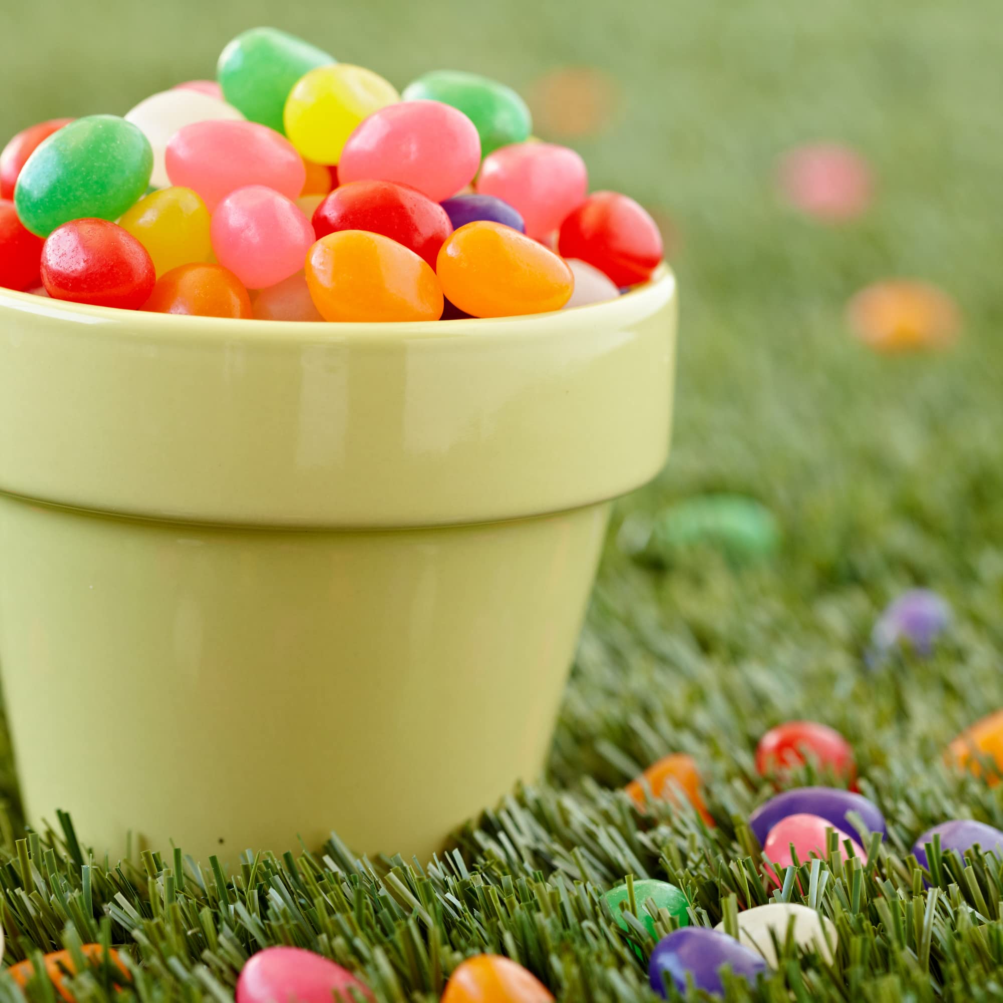 Needzo Bulk Jelly Beans - Black Licorice, Original Fruit & Spiced Flavors - Chewy Candy for Easter Egg Fillers, Party Favors & Gift Bags - 10oz Bags (Pack of 3) - Perfect for Holidays, Birthdays & Office Treats