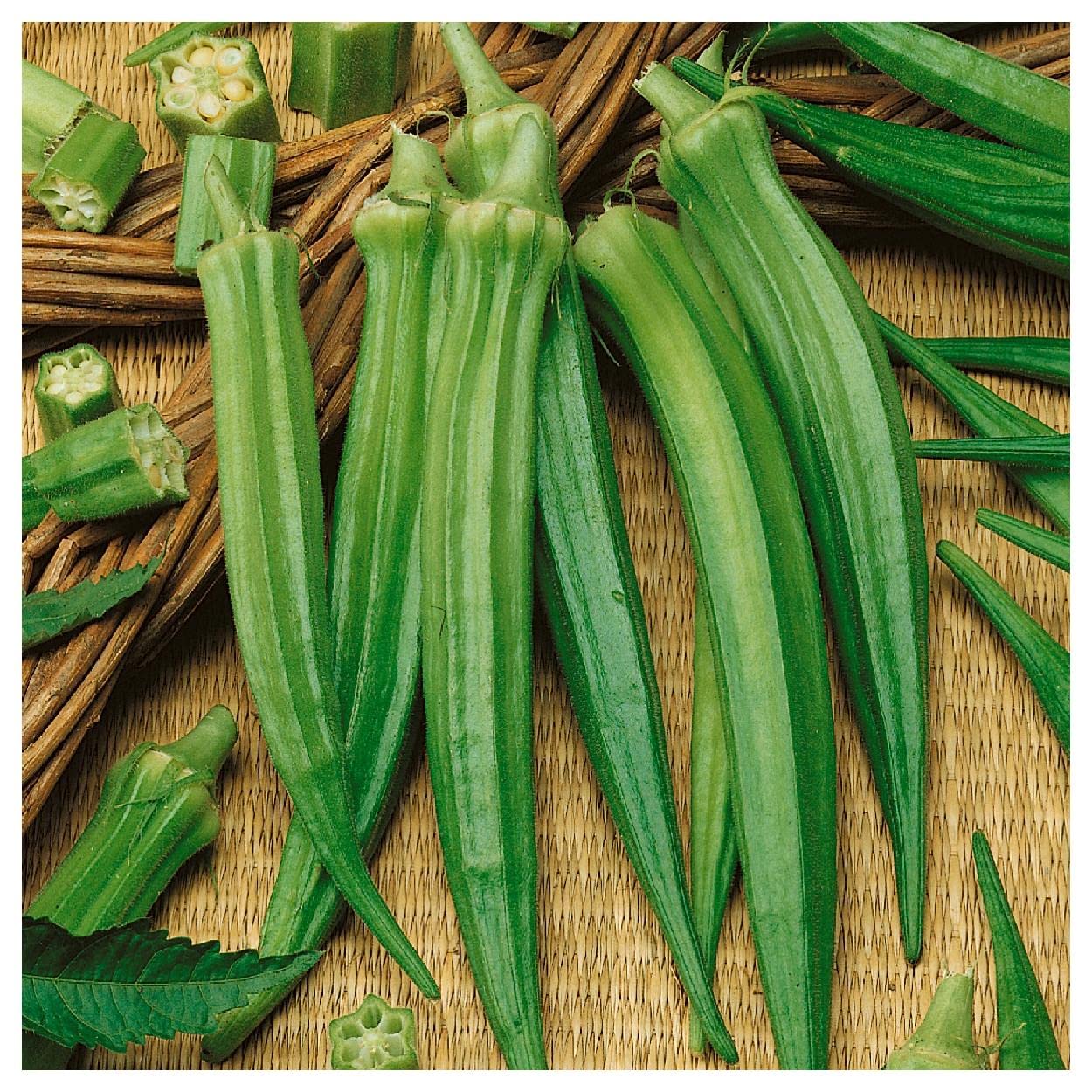 Everwilde Farms - 1 Oz Organic Perkins Long Pod Okra Seeds - Non-GMO, Heirloom, Gold Vault Packet - Perfect for Home Gardening, Canning & Southern Cooking