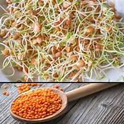 Organic Red Lentils 1KG - High Protein, Non-GMO, Gluten-Free - Perfect for Soups, Stews, and Healthy Meal Prep