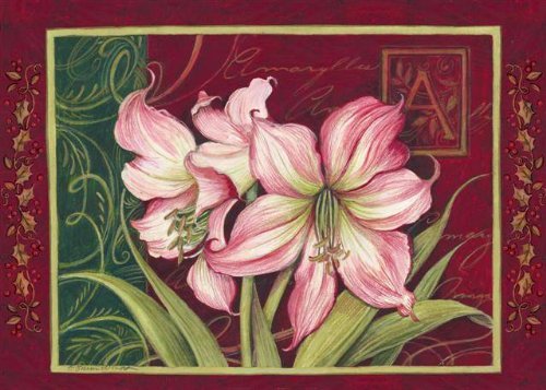 Holiday Amaryllis Christmas Photo Cards - Elegant Festive Greeting Cards with Photo Insert for Family, Friends & Coworkers - Perfect for Holiday Parties, Gift Exchanges & Winter Celebrations