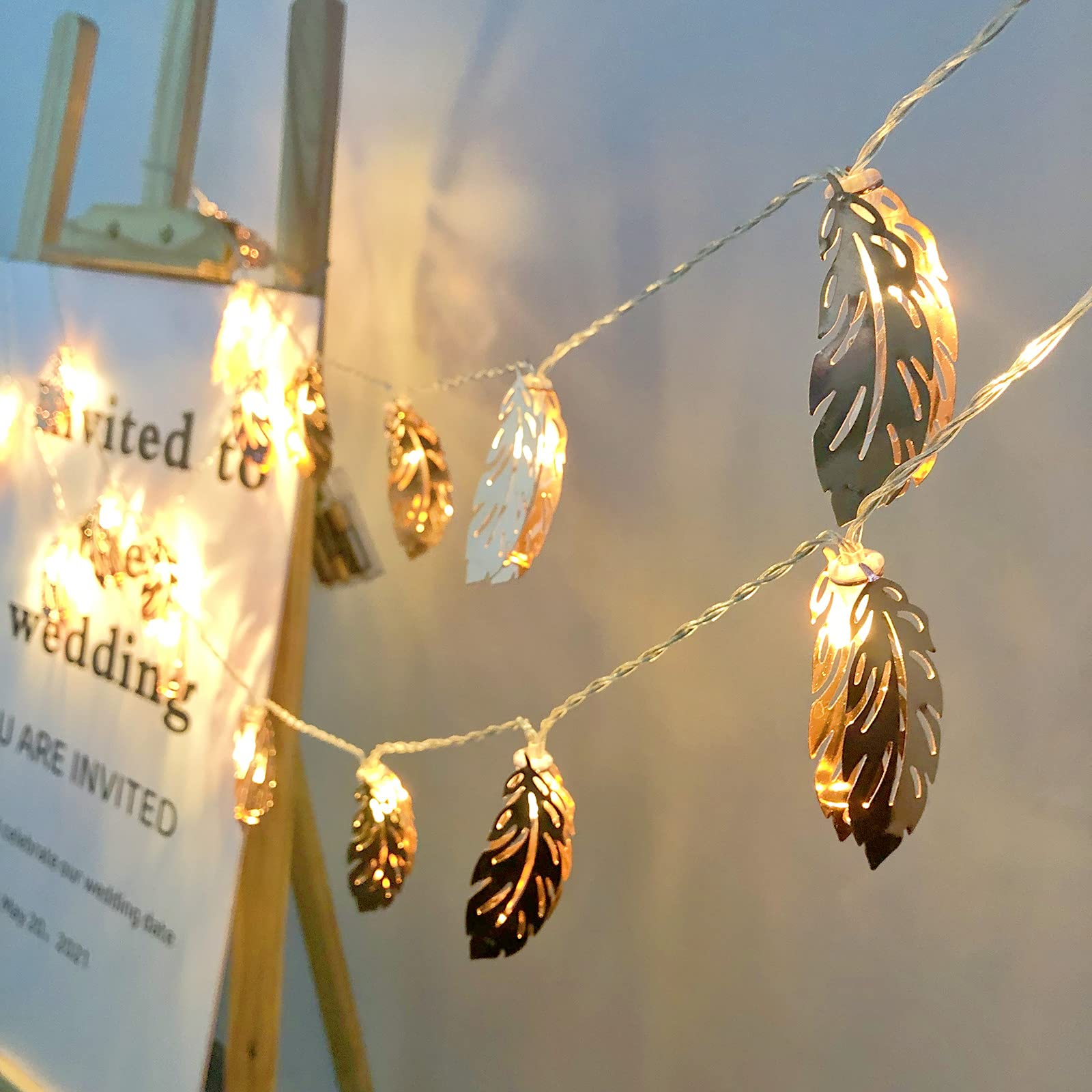 Rose Gold Feather LED String Lights - 9.8ft Battery Powered Fairy Lights with Metal Leaf Lanterns for Bedroom Decor, Wedding Party, Garden & Outdoor Lighting (20 Warm White LEDs, USB/Battery Operated) - Perfect for Romantic Ambiance, Holiday Decorations and Special Events