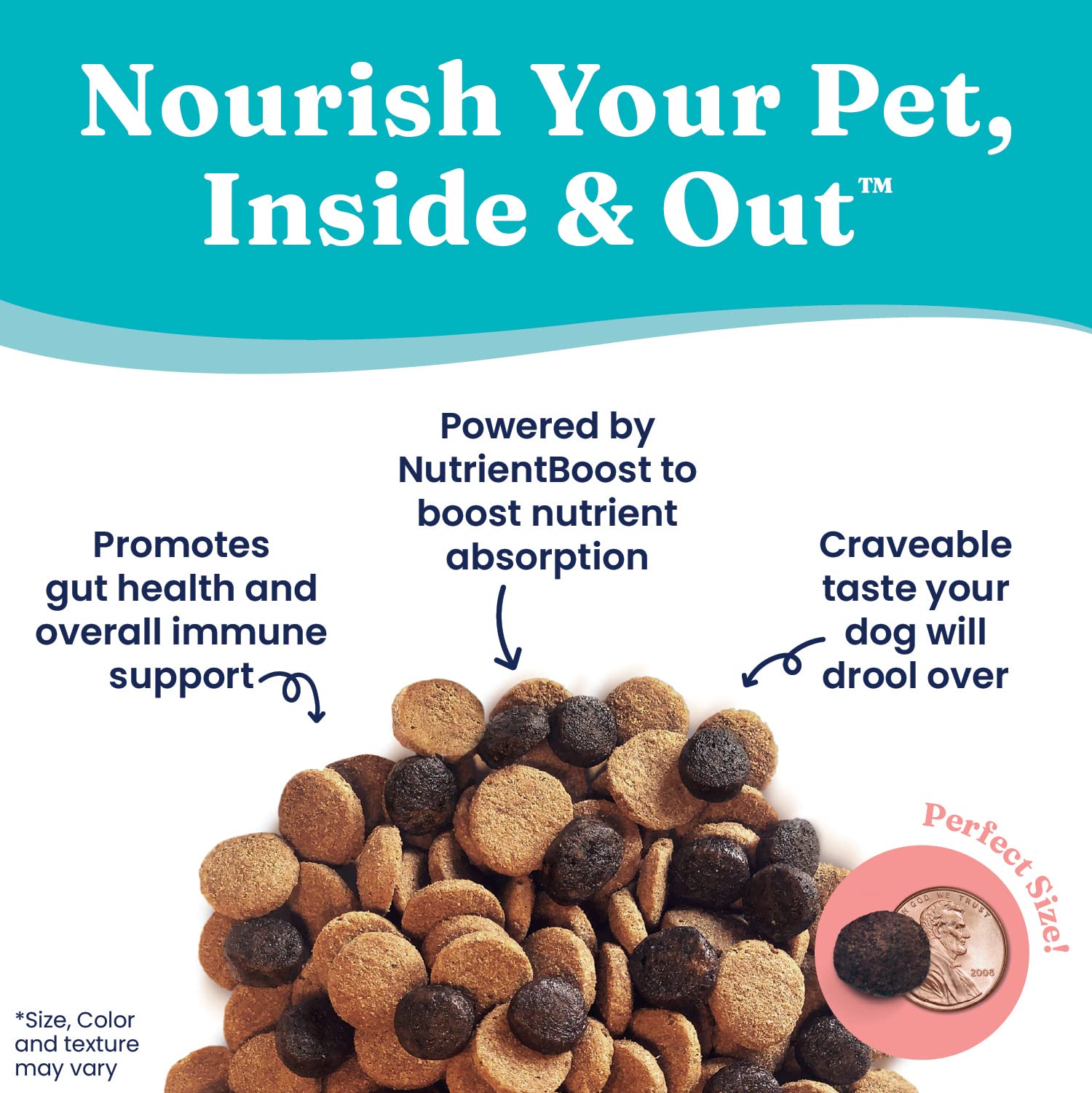 Premium Solid Gold Dry Dog Food for Adult & Senior Dogs - High Protein Lamb & Brown Rice Recipe - Weight Management & Digestive Health Support - Nutrient-Rich Kibble for Active & Aging Dogs - 4 LB Bag - Perfect for Daily Meals & Training Treats