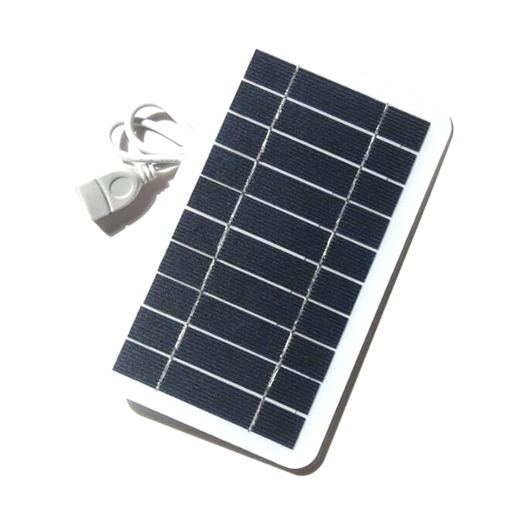 2W Portable Solar Panel with USB Output - Lightweight & Flexible Solar Charger for Phones, Camping, Hiking & Outdoor Activities