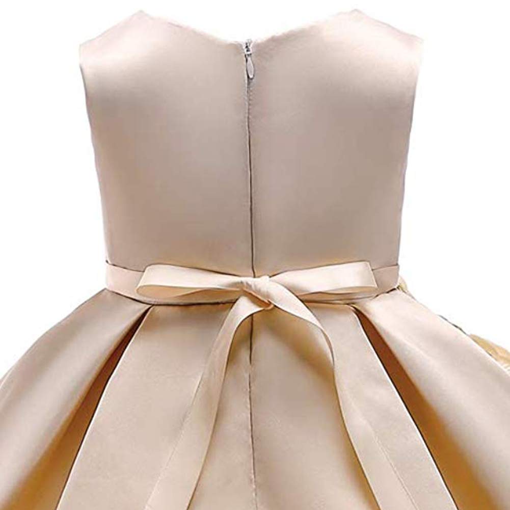 Princess Party Dress for Girls 2-3 Years Old - Elegant Formal Baby Girl Dress for Birthday, Wedding & Special Occasions