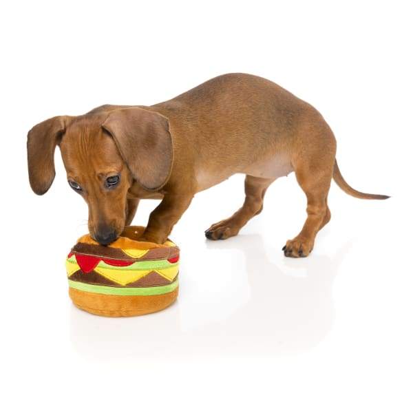 Fuzzyard Hamburger Plush Dog Toy - Soft & Cute Chew Toy for Small & Medium Dogs - Perfect for Playtime, Training & Cuddling